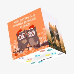 Kiwi Merry Christmas Wonderful Brother And His Fiance Cute Owls Confetti-exploding Greetings Card