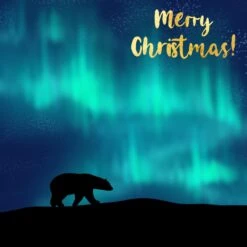 Merry Christmas Polar Bear Confetti-exploding Greetings Card -Merry Moments 1 183f8114 a880 4228 ad1f 699d8a5c27fb
