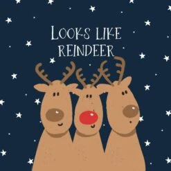 Looks Like Reindeer Christmas Confetti-exploding Greetings Card -Merry Moments 1 1be6dbe3 81e8 4943 b239 2cddb7596d2e