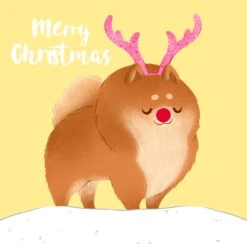 Merry Christmas Fluffy Pomeranian With Deer Horns Confetti-exploding Greetings Card -Merry Moments 1 2f854aab 40bb 4ed0 916a 88141f2efb81