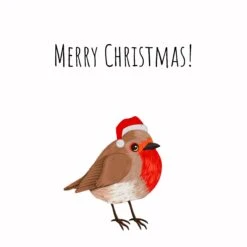 Merry Christmas A Cute Robin Wearing A Hat Confetti-exploding Greetings Card -Merry Moments 1 43a298e8 e116 4a83 a4f1 3a55741a50b4