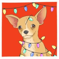 Kiwi Merry Christmas Funny Chihuahua Confetti-exploding Greetings Card -Merry Moments 1 6f9a6581 2751 4898 a03e 961276cf556d