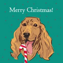 Plum Merry Christmas Cocker Spaniel Licking Candy Cane Confetti-exploding Greetings Card -Merry Moments 1 7f7513e0 4baf 4f6f a152 54c513299a7e