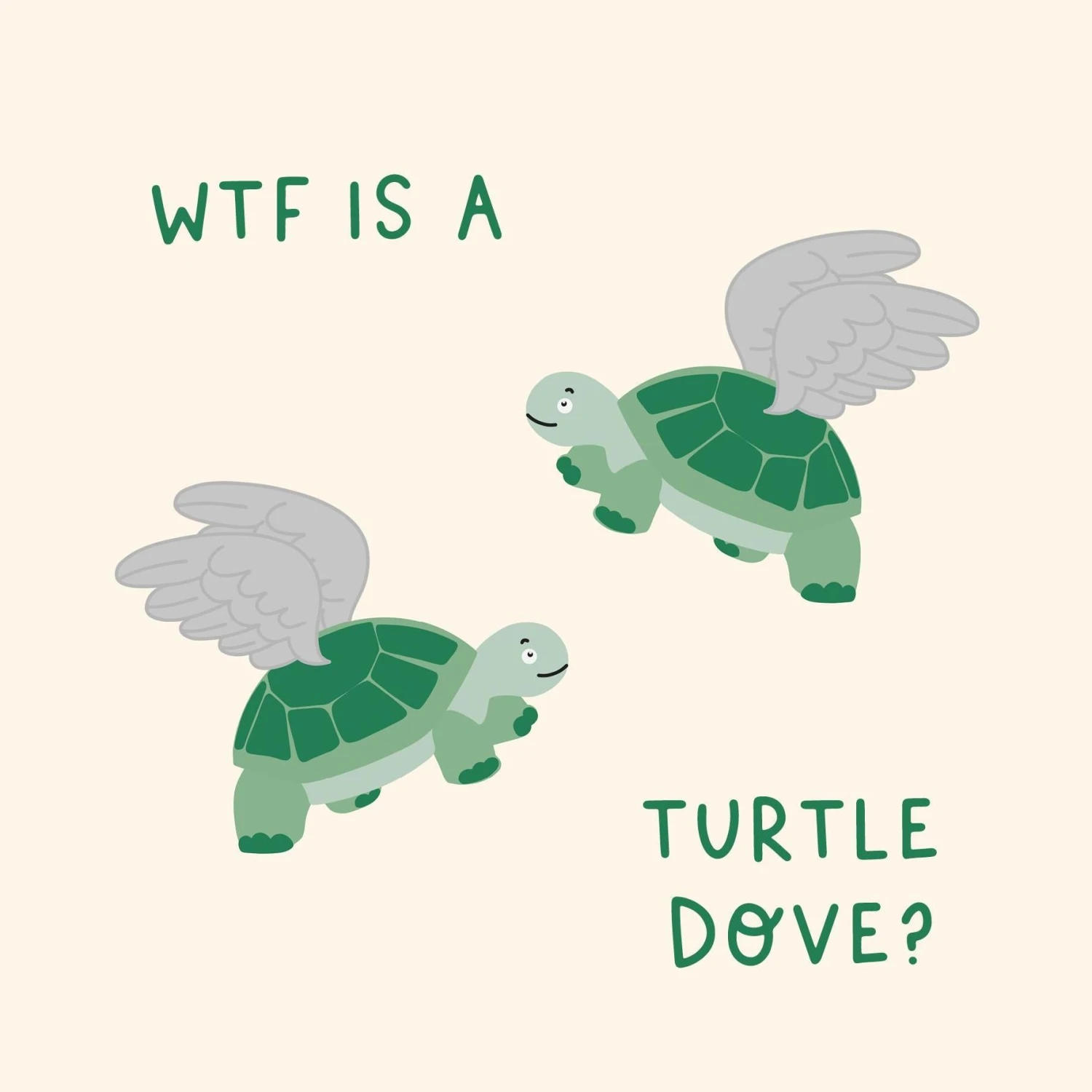 WTF Is A Turtle Dove Christmas Confetti-exploding Greetings Card 4 WTF Is A Turtle Dove Christmas Confetti-exploding Greetings Card - Image 2