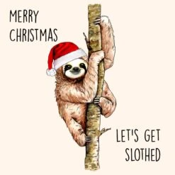 Let's Get Slothed Confetti-exploding Greetings Card -Merry Moments 1 bbb5f946 0f50 4e6c bc7d 306c36b1f9a4