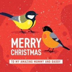 Merry Christmas To My Amazing Mummy And Daddy Birds Confetti-exploding Greetings Card -Merry Moments 1 cc02dccf 54b2 4e7a 940d fa727dc34b7a