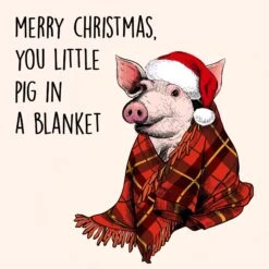 You Little Pig In A Blanket Confetti-exploding Greetings Card -Merry Moments 1 cc95ac1a f384 42f9 a013 f4ec0b7fd28c