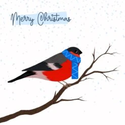 Merry Christmas A Bullfinch On A Robin Confetti-exploding Greetings Card 5 Merry Christmas A Bullfinch On A Robin Confetti-exploding Greetings Card -Merry Moments 1 dedd2751 b47a 4870 bab6 3452b17c8911