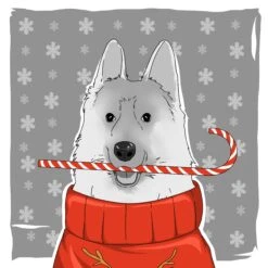 Kiwi Merry Christmas German Shepherd With Candy Confetti-exploding Greetings Card -Merry Moments 1 e0272beb eabf 43be 95b6 9bb9e63e44b5