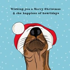 Dachshund Dog Happiest Howlidays And Merry Christmas Confetti-exploding Greetings Card -Merry Moments 1 e72b1986 d38c 4591 ade2 c785a48060c5