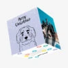 Merry Christmas English Shepherd With Cute Brows Confetti-exploding Greetings Card 1 Merry Christmas English Shepherd With Cute Brows Confetti-exploding Greetings Card -Merry Moments 895aa270d8fcae1bd60319c500779432