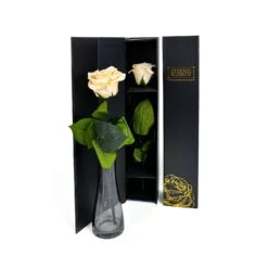 Everlasting Single Long Stem Classic Champagne Rose