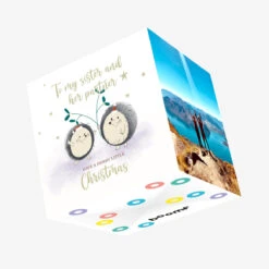 Merry Christmas Sister And Her Partner Cute Hedgehog Couple Confetti-exploding Greetings Card